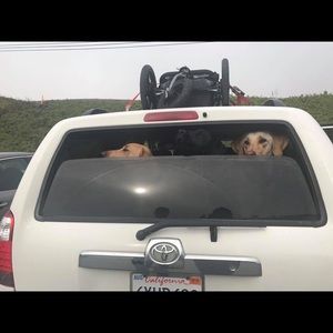 Meet your Posher, Gail